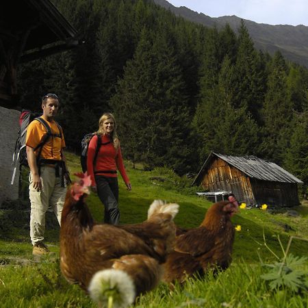Aparthaus Camping Stubai Neustift im Stubaital Kültér fotó
